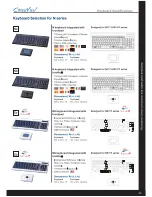 Preview for 4 page of Austin Hughes Electronics Cyberview NS117 Brochure & Specs