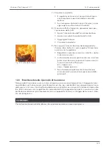 Preview for 199 page of Austro Flamm 945035 Operating Manual