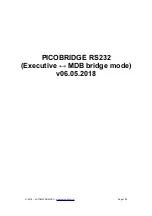 AUTOMATROM PICOBRIDGE RS232 Manual preview