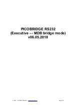 Preview for 1 page of AUTOMATROM PICOBRIDGE RS232 Manual