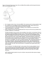 Preview for 18 page of Autonomic Pulsante 5492001 Manual