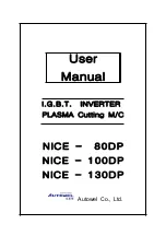 Autowel NICE-100DP User Manual preview