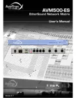 AuviTran AVM500-ES User Manual preview