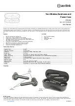 AV Link InSound 100.580UK User Manual preview