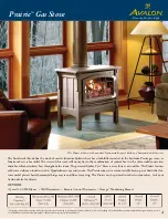 Предварительный просмотр 5 страницы Avalon Stove Brochure