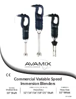 Avamix 928IB10 Manual preview