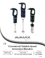 Preview for 1 page of Avamix 928IB12 Quick Start Manual