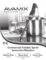 Preview for 1 page of Avamix 928ISB10 Quick Start Manual