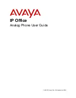 Avaya Analog Telephone User Manual preview