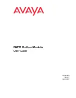 Avaya BM32 User Manual предпросмотр