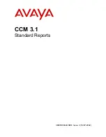 Preview for 1 page of Avaya CCM 3.1 Standard Reports