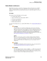 Preview for 45 page of Avaya CMC1 Maintenance Procedures