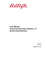 Preview for 1 page of Avaya Customer Interaction Express 1.0 User Manual