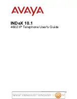 Avaya INDeX 10.1  4602 User Manual предпросмотр