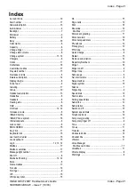 Preview for 21 page of Avaya INDeX 9.2+ 20DT User Manual