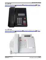 Предварительный просмотр 343 страницы Avaya IP500 Installation Manual