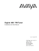 Preview for 1 page of Avaya LUAMFMT Installation And Use Manual