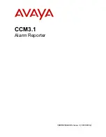 Avaya NULL CCM3.1 User Manual preview