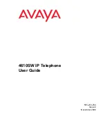 Avaya one-X 4610SW User Manual preview