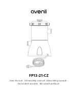 avenli FP13-21-CZ User Manual preview