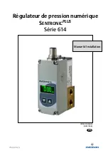 Preview for 19 page of Aventics EMERSON SentronicPLUS 614 Series Installation Manual