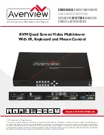 Avenview DVI-SPLITPRO-4K User Manual preview