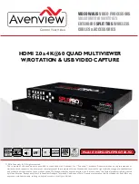 Preview for 1 page of Avenview HDM2-SPLITPRO-T4K-V2 Manual