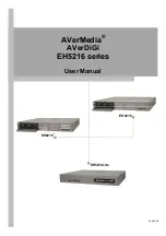 Avermedia AVerDiGi EH5216 Series User Manual preview