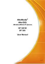 Avermedia AVerDiGi SF1301 User Manual preview