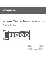 Предварительный просмотр 1 страницы Avermedia AW313 Quick Manual