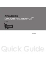 Avermedia C199X Quick Manual предпросмотр