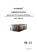 Avermedia SA6000 User Manual preview