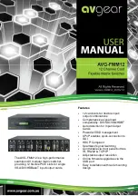 AVGear AVG-FMM12 User Manual предпросмотр