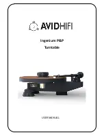 AvidHiFi Ingenium P&P User Manual preview