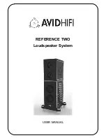 AvidHiFi REFERENCE TWO User Manual preview