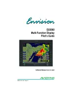 Avidyne Envision EX5000 Pilot'S Manual preview