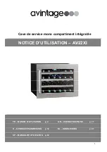 Avintage AV22XI Use Instructions preview