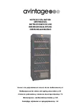 Avintage DVA305G User Manual предпросмотр