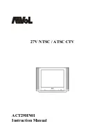 AVL21 ACT29HN01 Instruction Manual preview