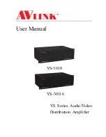 AVLink YS-30116 User Manual предпросмотр