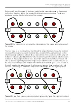 Preview for 25 page of Avlite AvMesh Installation & Troubleshooting Manual