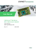 Avnet COM Express MSC C10M-BT User Manual предпросмотр