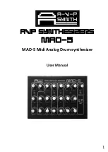 AVP Synthesizer MAD-5 User Manual preview