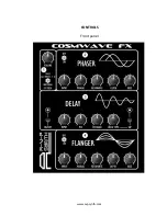 Preview for 3 page of AVP Synthesizers COSMWAVE FX User Manual