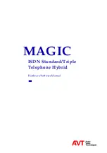 AVT MAGIC Hardware & Software Manual предпросмотр