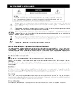 Предварительный просмотр 2 страницы Avtech DG1004 User Manual