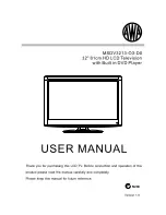 AWA MSDV3213-03-D0 User Manual preview