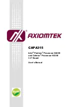 AXIOMTEK CAPA315 User Manual preview