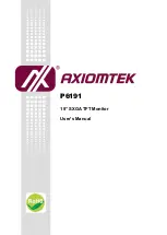 AXIOMTEK P6191 User Manual preview