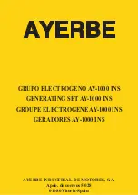 ayerbe AY-1000 KT Manual preview